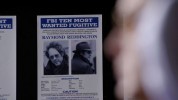 The Blacklist | Blacklist : Redemption Raymond Reddington : personnage de la srie 