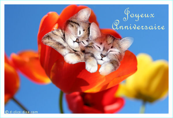 carte-anniversaire-enfant4.jpg