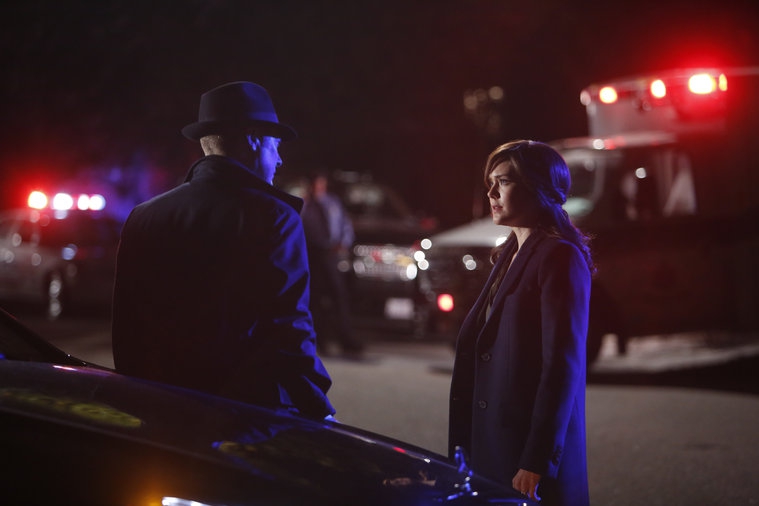 Elisabeth (Megan Boone) retrouve Reddington l'affaire terminée